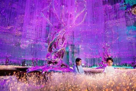 Book Tickets to Visit AYA in Dubai .